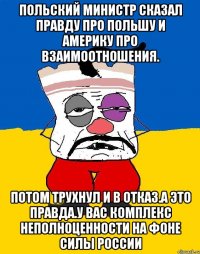 Польский министр сказал правду про польшу и америку про взаимоотношения. Потом трухнул и в отказ.а это правда.у вас комплекс неполноценности на фоне силы россии