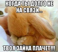 Когда ты долго не на связи... Твоя зайка плачет!!!