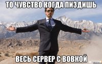 То чувство когда пиздишь весь сервер с вовкой