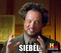  Siebel..