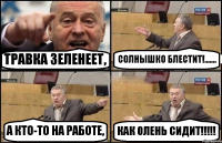 ТРАВКА ЗЕЛЕНЕЕТ, СОЛНЫШКО БЛЕСТИТ!....... А КТО-ТО НА РАБОТЕ, КАК ОЛЕНЬ СИДИТ!!!!!