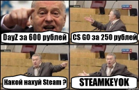 DayZ за 600 рублей CS GO за 250 рублей Какой нахуй Steam ? STEAMKEYOK