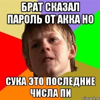 Брат сказал пароль от акка но Сука это последние числа пи