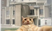 Создать мем чсмчсмчм