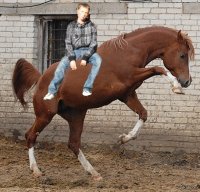 Создать мем сил