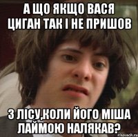 А що якщо Вася Циган так і не пришов з лісу,коли його Міша лаймою налякав?