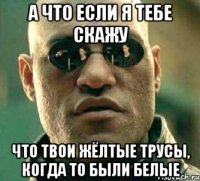 а что если я тебе скажу что твои жёлтые трусы, когда то были белые