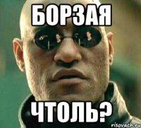 Борзая чтоль?