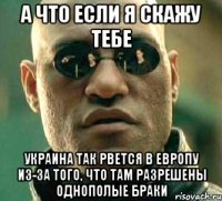 А что если я скажу тебе Украина так рвется в Европу из-за того, что там разрешены однополые браки