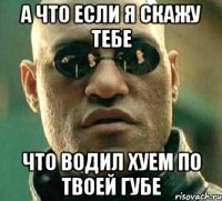 А что если я скажу тебе что водил хуем по твоей губе