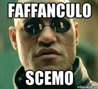 Faffanculo Scemo