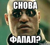 СНОВА ФАПАЛ?