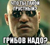 Что ты такой грустный? Грибов надо?