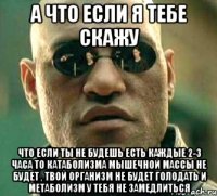 А что если я тебе скажу что если ты не будешь есть каждые 2-3 часа то катаболизма мышечной массы не будет , твой организм не будет голодать и метаболизм у тебя не замедлиться