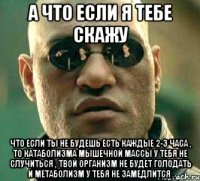 А что если я тебе скажу что если ты не будешь есть каждые 2-3 часа , то катаболизма мышечной массы у тебя не случиться , твой организм не будет голодать и метаболизм у тебя не замедлится .