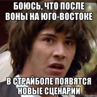 БОЮСЬ, ЧТО ПОСЛЕ ВОНЫ НА ЮГО-ВОСТОКЕ В СТРАЙБОЛЕ ПОЯВЯТСЯ НОВЫЕ СЦЕНАРИИ