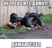 НЕ ТРЕВОЖТЕ ДИМКУ! ДИМКА УСТАЛ