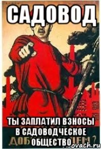 САДОВОД ТЫ ЗАПЛАТИЛ ВЗНОСЫ В САДОВОДЧЕСКОЕ ОБЩЕСТВО