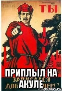  Приплыл на акуле