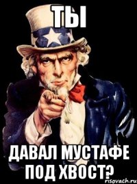 ты давал мустафе под хвост?