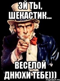 Эй ты, Шекастик... Веселой Днюхи тебе)))