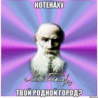 Котенаху Твой родной город?