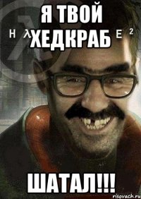 Я твой хедкраб ШАТАЛ!!!