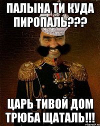 ПАЛЫНА ТИ КУДА ПИРОПАЛЬ??? ЦАРЬ ТИВОЙ ДОМ ТРЮБА ЩАТАЛЬ!!!