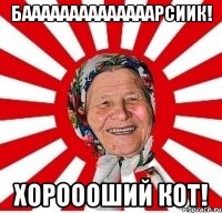 Баааааааааааааарсиик! хороооший кот!