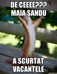 DE CEEEE??? MAIA SANDU A SCURTAT VACANTELE