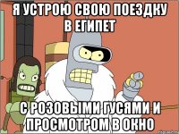 я устрою свою поездку в египет с розовыми гусями и просмотром в окно