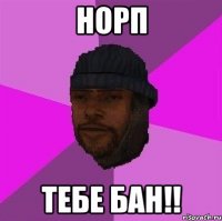 норп тебе бан!!