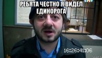 Ребята честно я видел единорога 