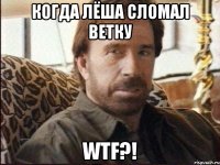 когда Лёша сломал ветку WTF?!