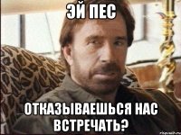 Эй Пес отказываешься нас встречать?