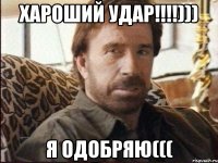 Хароший удар!!!!))) Я одобряю(((