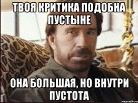 Твоя критика подобна пустыне она большая, но внутри пустота