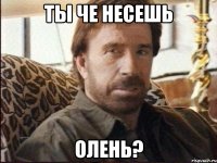 Ты че несешь Олень?