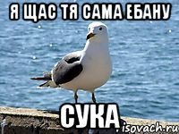 Я щас тя сама ебану сука