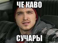 че каво сучары