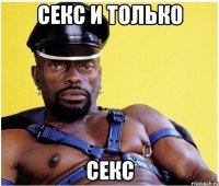 секс и только секс
