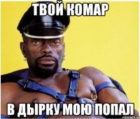 Твой комар В дырку мою попал