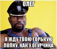 Олег Я жду твою горькую попку, как у огурчика