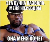 Эта сучка назвала меня Жеребцом Она меня хочет