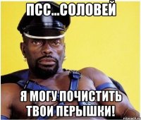 псс...соловей я могу почистить твои перышки!
