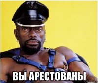  вы арестованы