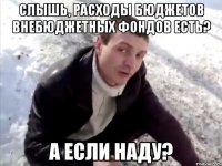 Слышь, расходы бюджетов внебюджетных фондов есть? а если наду?