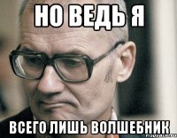 но ведь я всего лишь волшебник