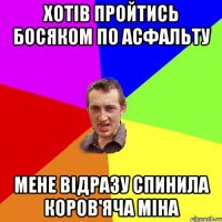 Хотів пройтись босяком по асфальту Мене відразу спинила коров'яча міна