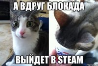 а вдруг блокада выйдет в steam